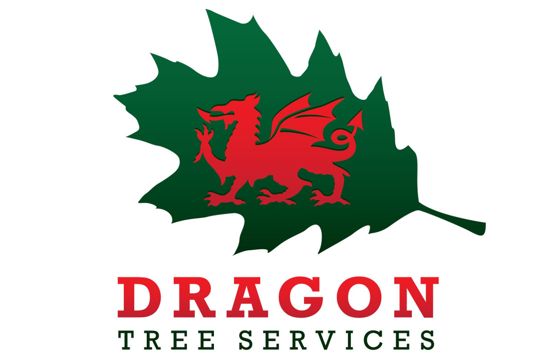 Dragon tree services logo