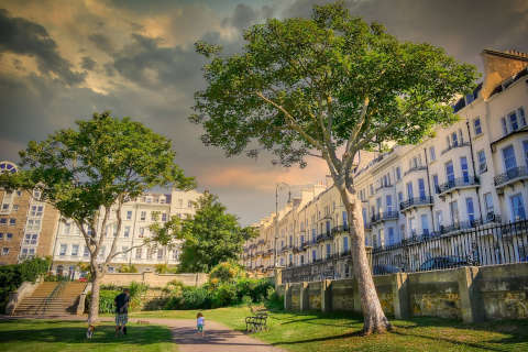 Trees in a residential park